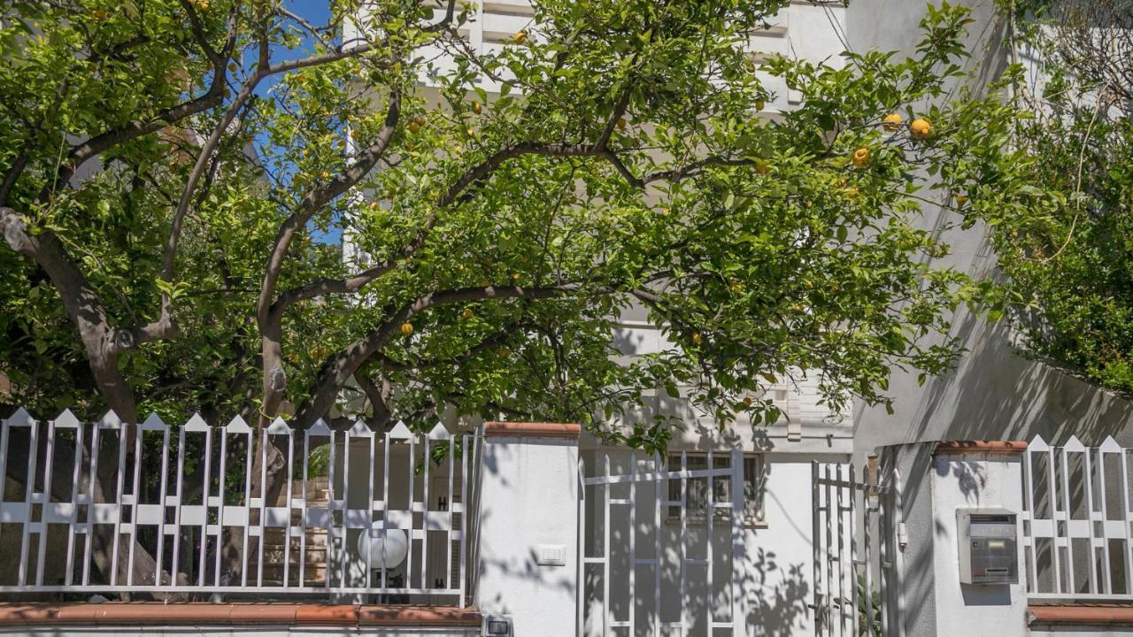 Taloro Ab Iun Q3273 Apartamento *